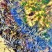 Seaweed Ribbons. by teresahodgkinson