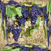 16th Sep 2021 - A box of grapes