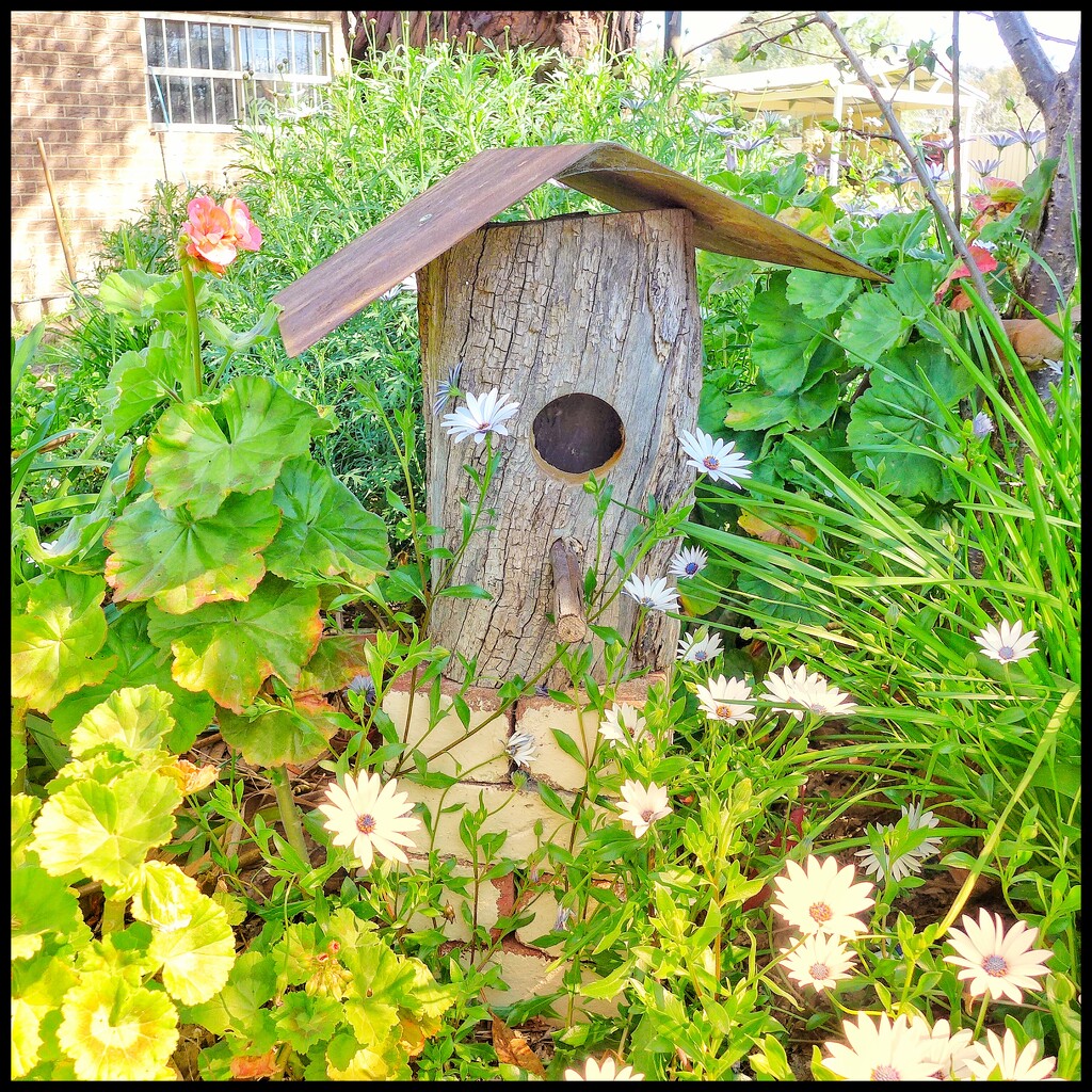 A birdhouse in my garden by leggzy