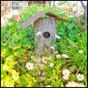 16th Sep 2021 - A birdhouse in my garden