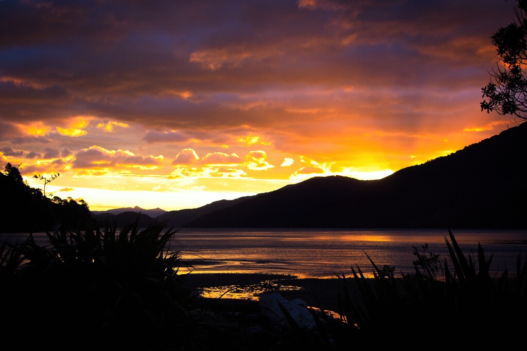 Sunset shining on the seashore by kiwinanna