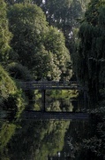 16th Sep 2021 - Bridge