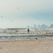 Ocean Stroll with the Seagulls by cindymc