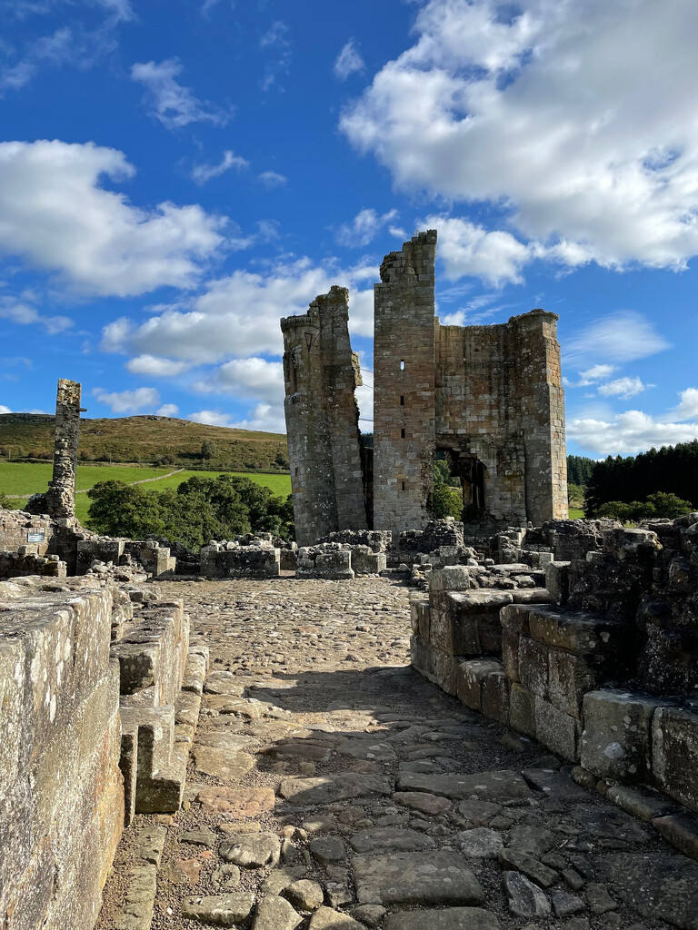 Edlingham Castle, Northumberland by 365projectmaxine