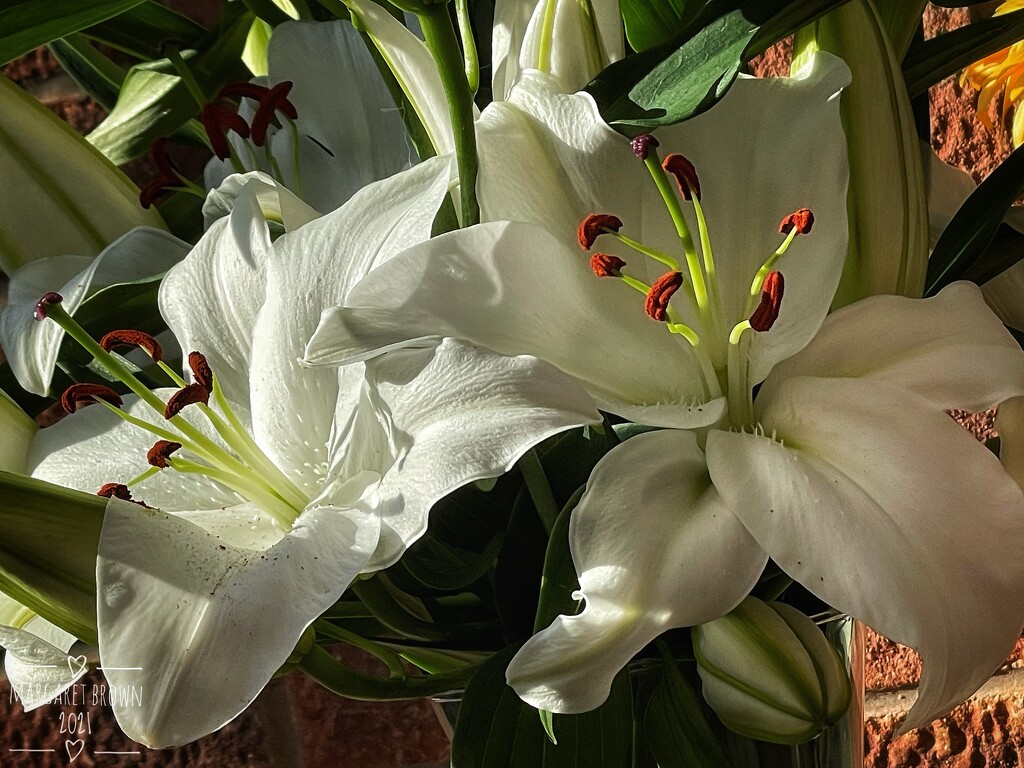 Lilies by craftymeg