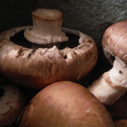 17th Sep 2021 - Mushroom Month