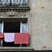 la vie en rose by parisouailleurs