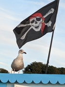 13th Sep 2021 - Captain of the pirate ship !