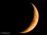 17th Sep 2021 - Crescent Moon 