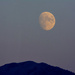 Bad Moon Rising by cwbill