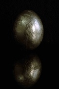 18th Sep 2021 - Egg-stra Matt Side