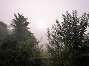 14th Sep 2021 - Misty morning