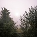 Misty morning by julienne1