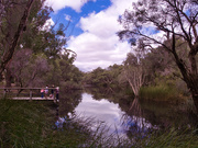 18th Sep 2021 - Mussel Pool, Whiteman Park_9183241