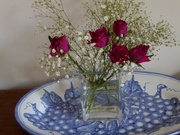 18th Sep 2021 - Roses with gypsophila (baby's breath)