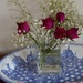Roses with gypsophila (baby's breath) by snowy
