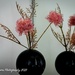 reflected black vase by nigelrogers
