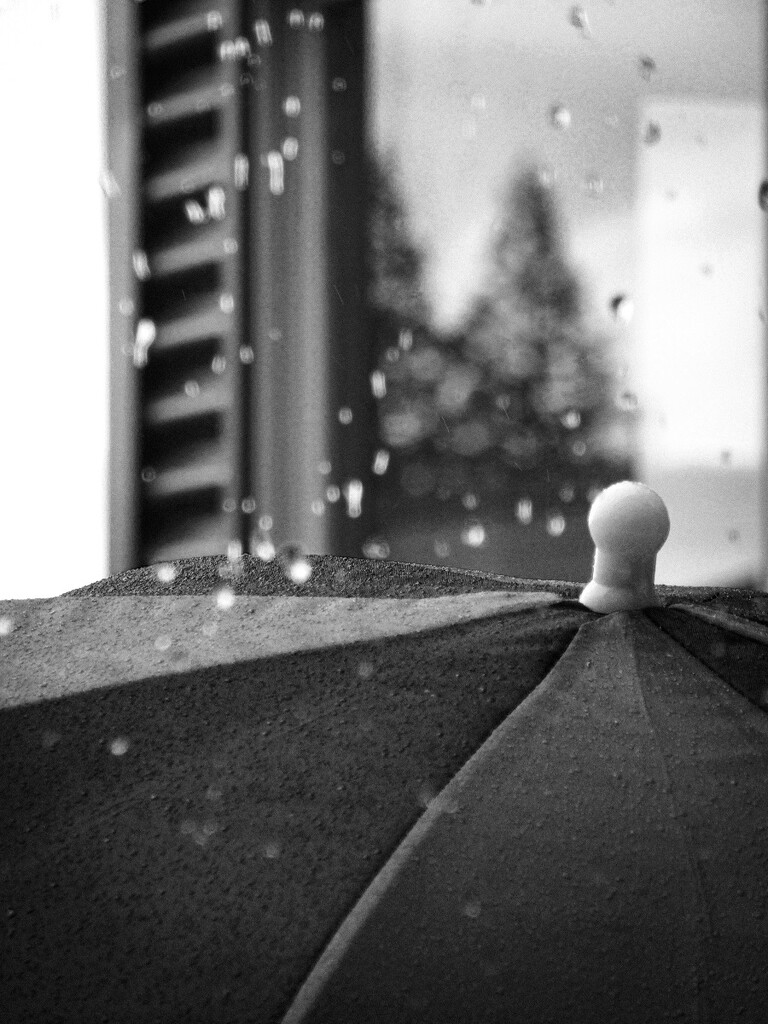 Blue Umbrella in Black & White by thedarkroom