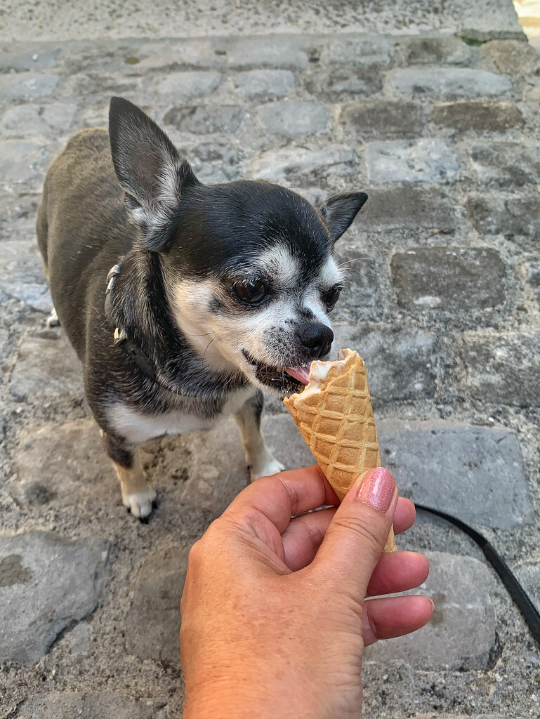 She likes ice cream ! by cocobella