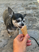 18th Sep 2021 - She likes ice cream !