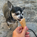 She likes ice cream ! by cocobella