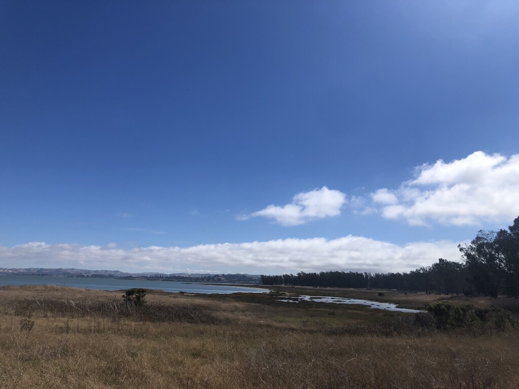 Point Pinole by krissers