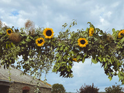 18th Sep 2021 - sunflower garland