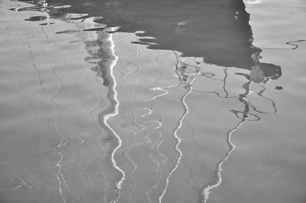 Harbor Reflections by radiodan