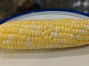 16th Jun 2021 - Corn season!