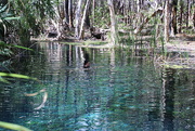 18th Sep 2021 - Bitter Springs, Mataranka NT