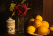19th Sep 2021 - Still life with camelia and lemons