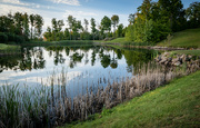 18th Sep 2021 - large pond