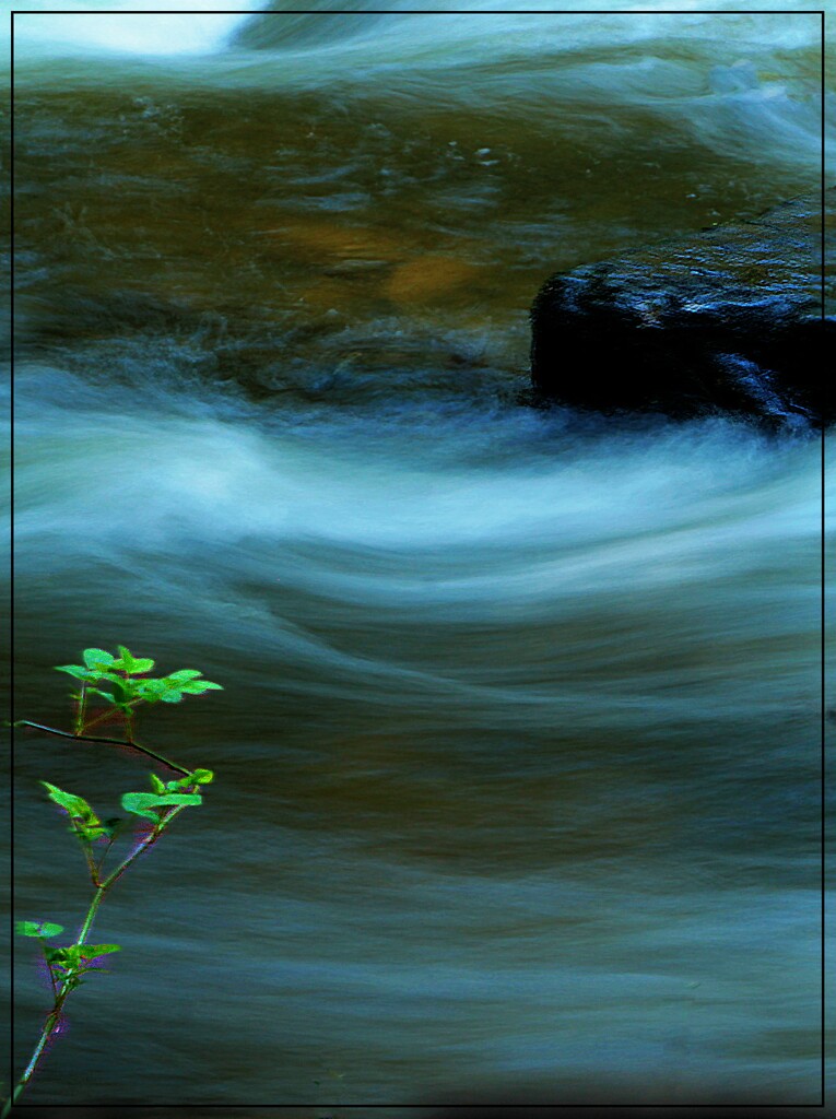 Flow, River Flow by olivetreeann