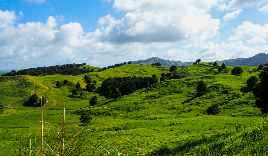The green hills of... by christinav