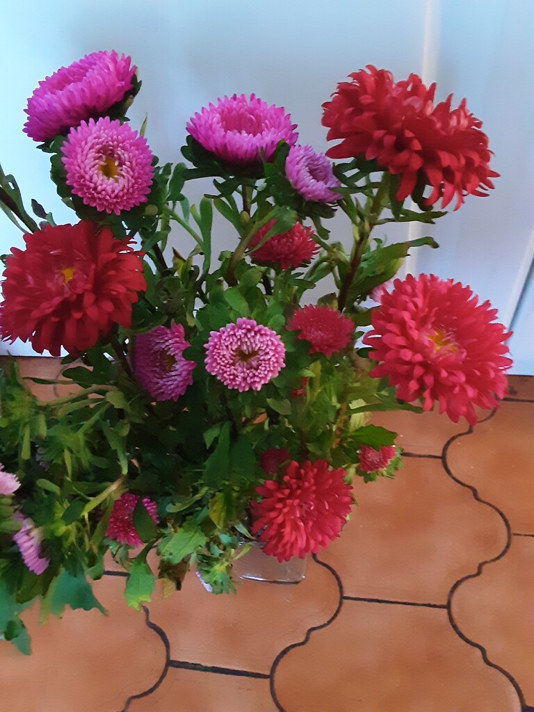 A vase of Asters. From our Co op store. by grace55