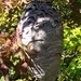Wasp nest seen along country road by bruni