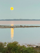 18th Sep 2021 - Moonrise by the cottage