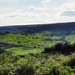 Looking over Fryup Dale by craftymeg