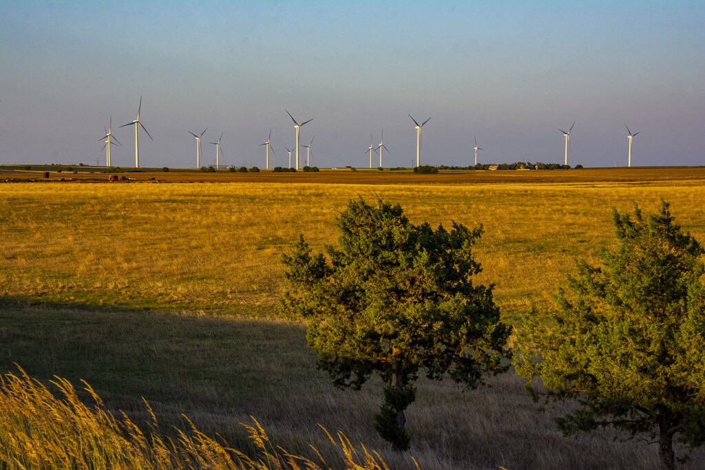 Kansas Wind Farm by cwbill