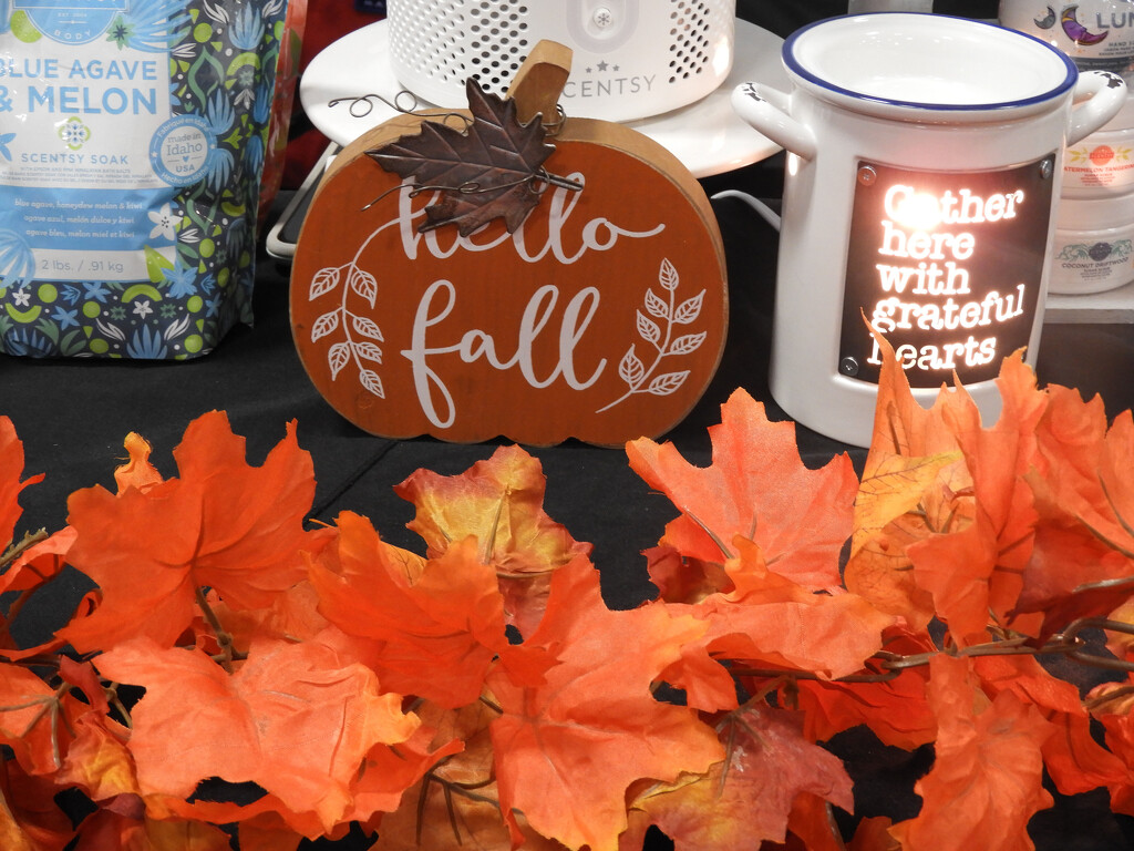 Fall decorations by homeschoolmom