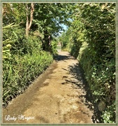 21st Sep 2021 - Walking through the Lanes