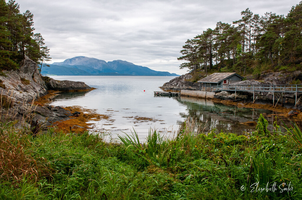 Norwegian nature by elisasaeter