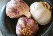 22nd Sep 2021 - trio of purple garlic 