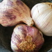 trio of purple garlic  by quietpurplehaze