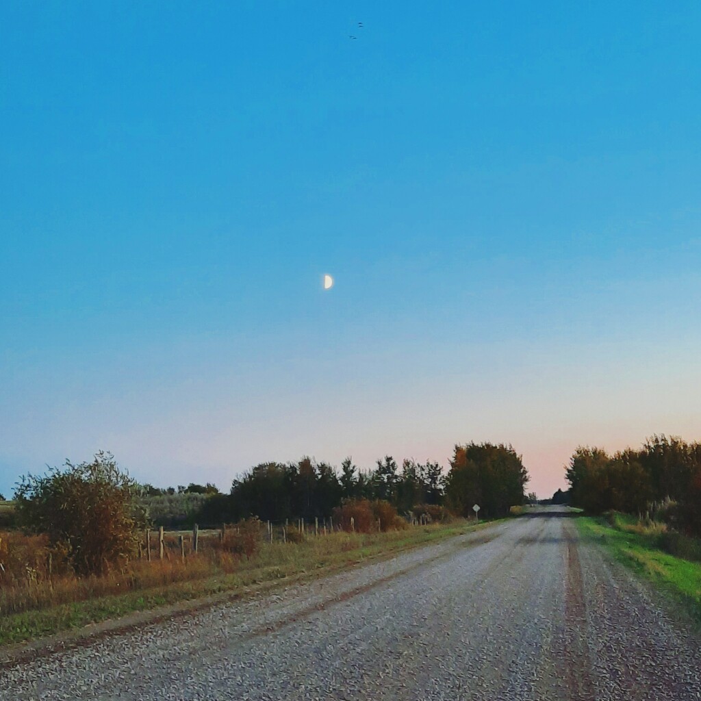 Moon Over Road by sarahlh