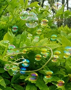 21st Sep 2021 - Bubbles