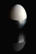 22nd Sep 2021 - Eggs-foliate