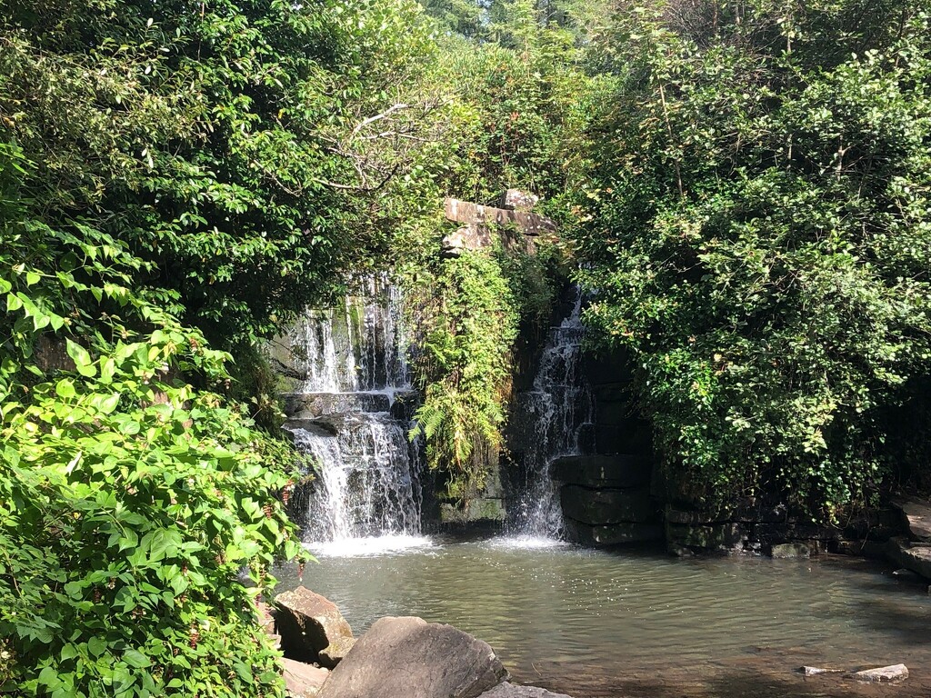  The Hidden Waterfall, Penllergare Valley Woods  by susiemc