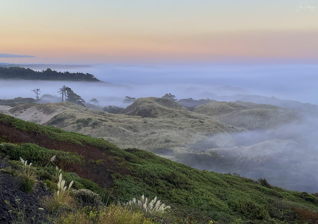 Fog Over the Dunes and Ocean  by jgpittenger