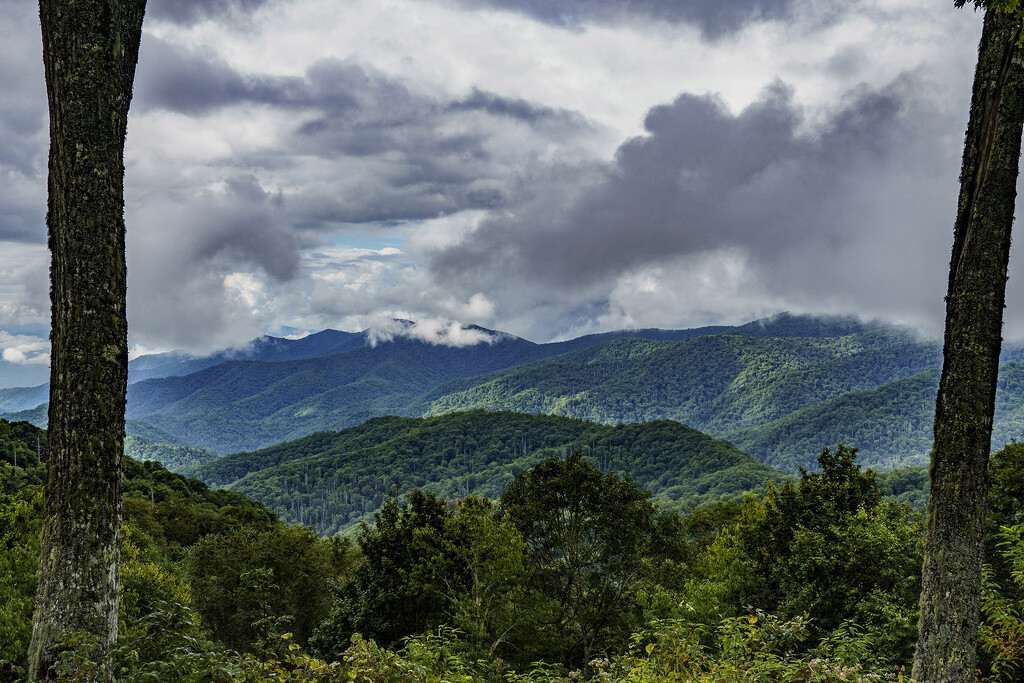 Blue Ridge Mountains Overlook by k9photo